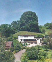 Burghügel