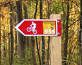 Mountainbike-Route Tiersteinberg